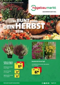 Hagebaumarkt Prospekt