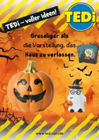 TEDi Prospekt